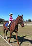 Twin Lakes Stable Coupons Moulton, AL Deals