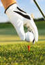 Triggs Memorial Golf Course Coupons Providence, RI Deals