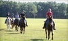 Cactus Jack's Trail Rides Coupons Ocala, Florida Deals