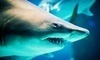 North Carolina Aquarium at Pine Knoll Shores Coupons Pine Knoll Shores, North Carolina Deals