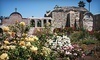 Mission San Juan Capistrano Coupons San Juan Capistrano, California Deals