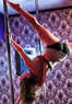 Diva Doll Fitness & Pole Coupons Ocoee, FL Deals