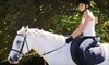 Flying Change Stables Coupons Chelmsford, Massachusetts Deals