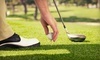 Blackhawk Trace Golf Club Coupons Bloomingdale, Illinois Deals