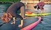 WASUP Yoga Coupons Seattle, Washington Deals