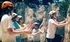 Treks and Tracks Coupons Los Gatos, California Deals