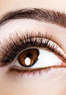 Cut Above Lashes Coupons Brampton, ON Deals