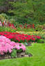 Lawngevity, Inc. Coupons  Deals