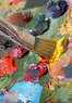 Rush In Art Academy Coupons Ann Arbor, MI Deals