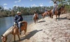 Splendor Farms Coupons Bush, Louisiana Deals