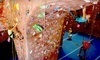 ClimbX Coupons Huntington Beach, California Deals