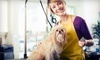Pet Effects Grooming Coupons Memphis, Tennessee Deals