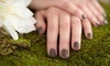 Queen Anne Nails Coupons Seattle, Washington Deals
