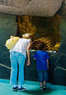 Maine State Aquarium Coupons West Boothbay, ME Deals