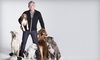 Cesar Millan Live! Coupons Wallingford, Connecticut Deals