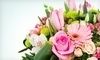 Basket Case Gift Baskets Flowers & Balloons Coupons Anchorage, Alaska Deals