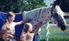 BreyerFest Denim and Diamonds Coupons Lexington, Kentucky Deals