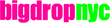 BigDropNYC Coupons