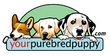 Your Purebred Puppy Coupons