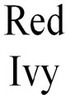 Red Ivy Coupons Chicago, IL Deals